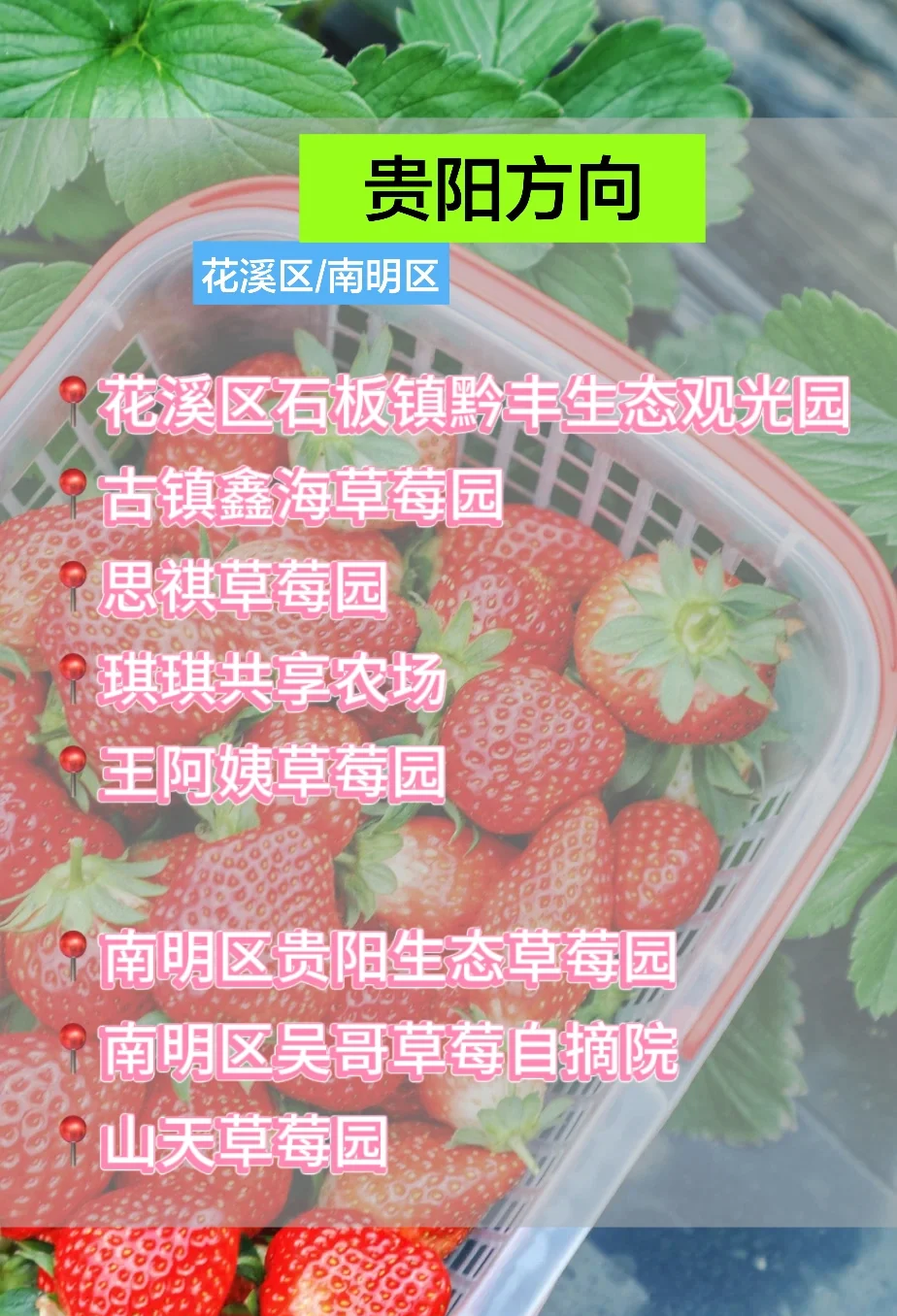 草莓视频在线无限观看大全草莓视频在线无限观看，探索视频新世界