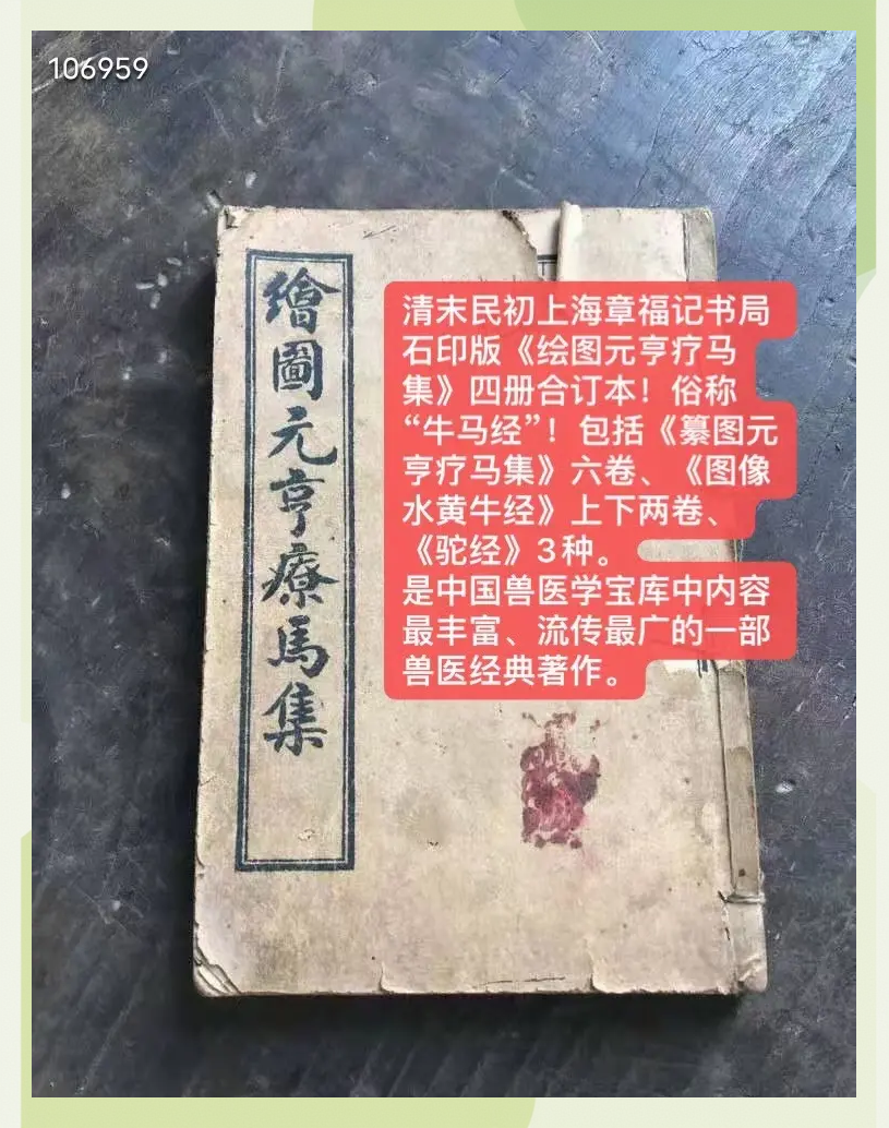 马经258图库，探索古代马匹知识与图谱的宝库-第1张图片